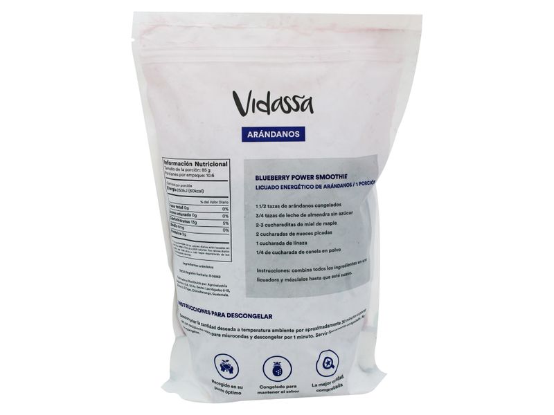 Ar-ndanos-Congelados-Vidassa-2lb-3-51257