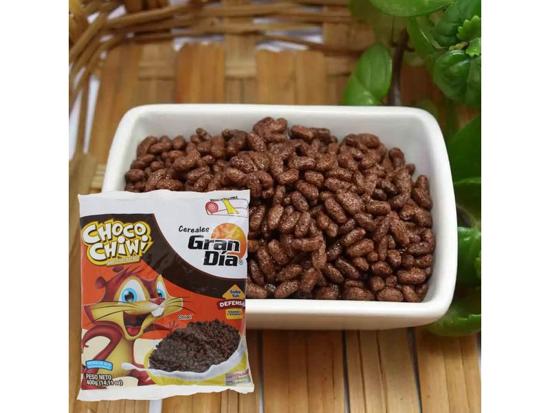 Gt-Gran-Dia-Cereal-Choco-Chiwi-400-Gr-4-66677