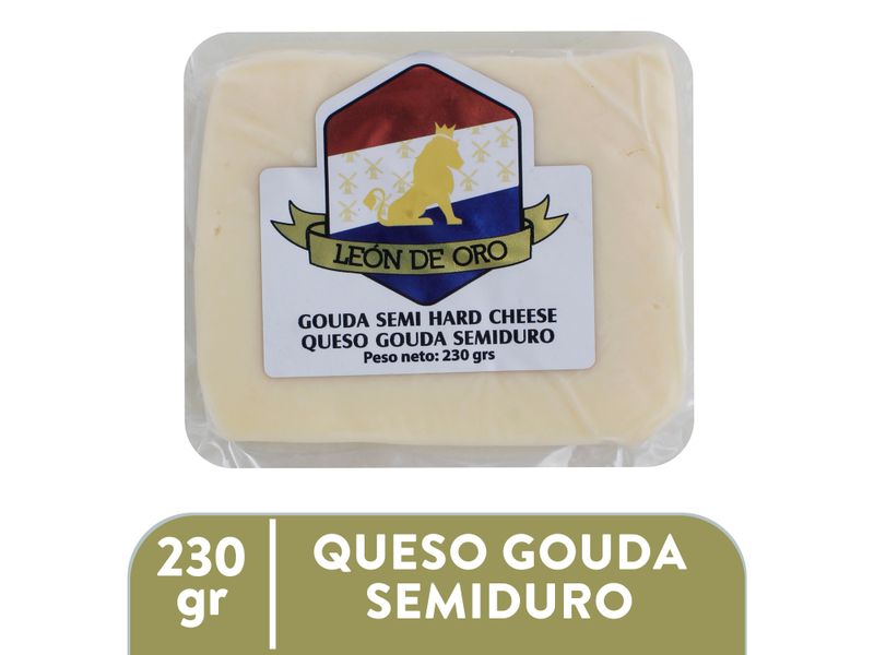 Queso-Gouda-Trozo-Leon-De-Oro-230gr-1-51965