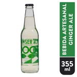 Bebida-Reformador-Artesanal-Ginger-Ale-355ml-1-56021