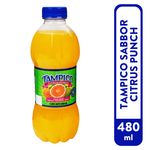 Bebida-Tampico-Citrus-Punch-480ml-1-8494