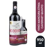 Vino-Mancuraetnia-Cabernet-Quintom950-Ml-1-67238