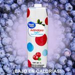 Bebida-Great-Value-Arandano-Light-1000ml-7-37224