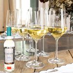 Vino-Dona-Paula-Dulce-Sauvignon-750Ml-4-40486