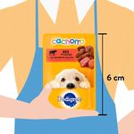 Alimento-Humedo-Perro-Pedigree-Cachorro-Res-100gr-3-13508