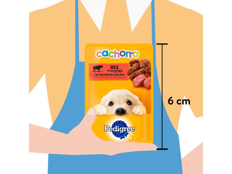 Alimento-Humedo-Perro-Pedigree-Cachorro-Res-100gr-3-13508