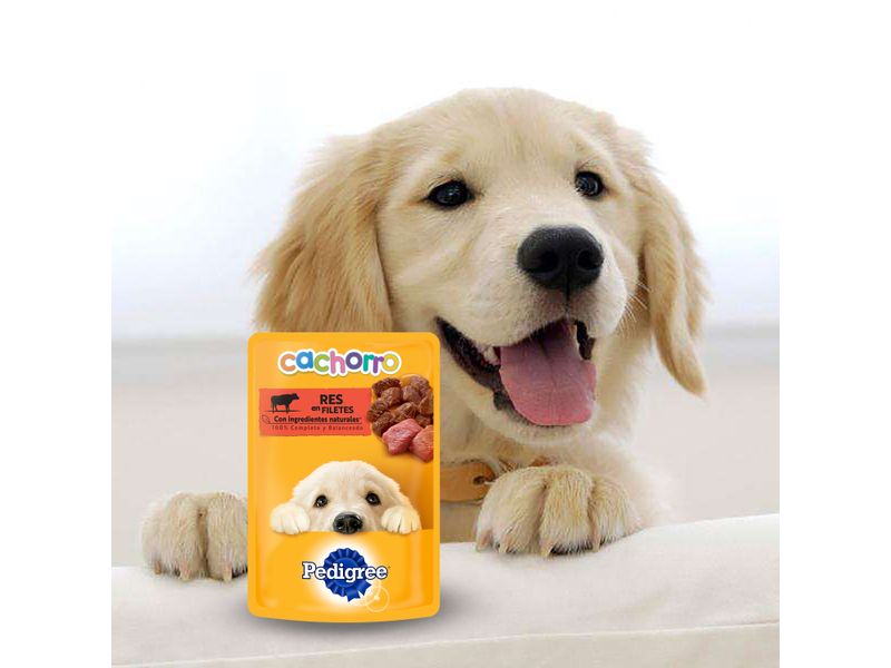 Alimento-Humedo-Perro-Pedigree-Cachorro-Res-100gr-5-13508