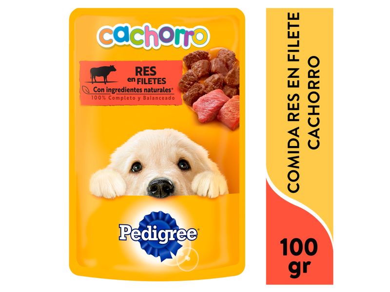 Alimento-Humedo-Perro-Pedigree-Cachorro-Res-100gr-1-13508