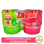 4-Pack-Lavaplatos-Zagaz-Citrus-Power-Frutos-Rojas-425-Gramos-1-32284