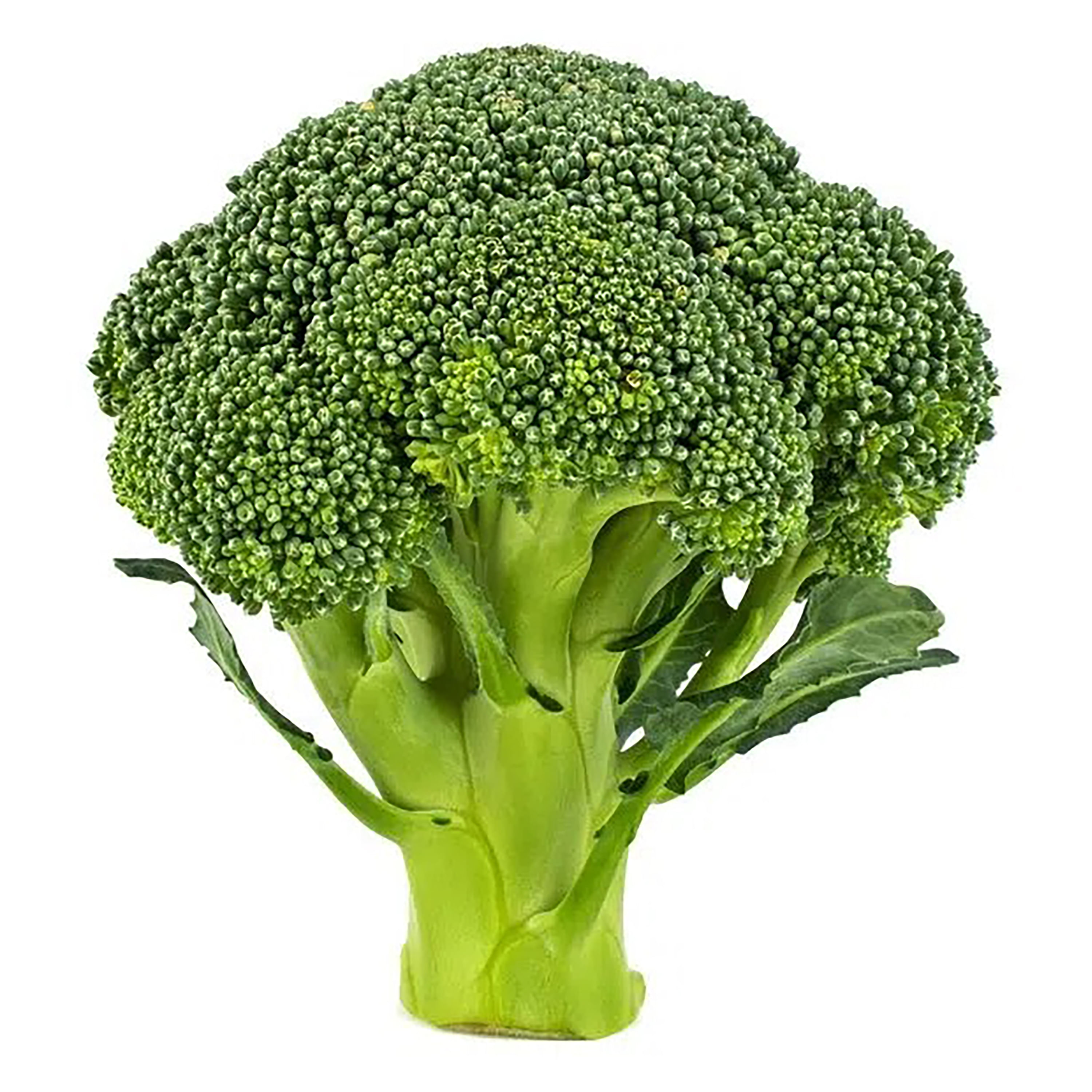 Brocoli-Entero-Libra-Unidad-contiene-1Lb-Aproximadamente-1-43908