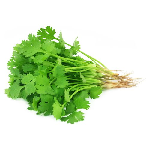 Cilantro Manojo Unidad