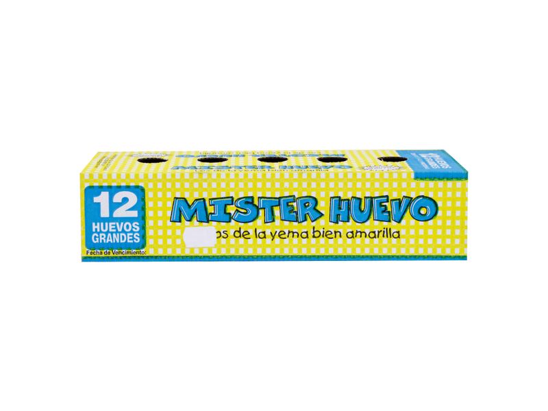 Huevo-Mister-Huevo-Grande-Blanco-12U-2-30189