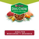 Alimento-Dog-Chow-A-Granel-454Gr-5-53