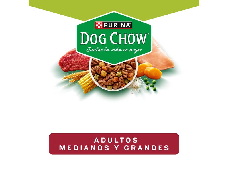 Alimento-Dog-Chow-A-Granel-454Gr-5-53