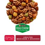 Alimento-Dog-Chow-A-Granel-454Gr-1-53