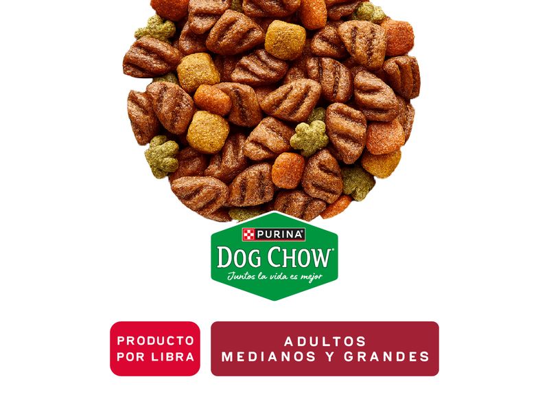 Alimento-Dog-Chow-A-Granel-454Gr-1-53