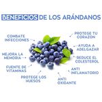 Arandanos-Azules-Clamshell-170G-6-50056