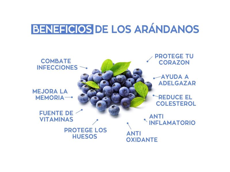 Arandanos-Azules-Clamshell-170G-6-50056