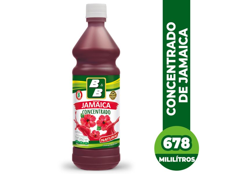 Concentrado-B-B-De-Jamaica-678ml-1-13927