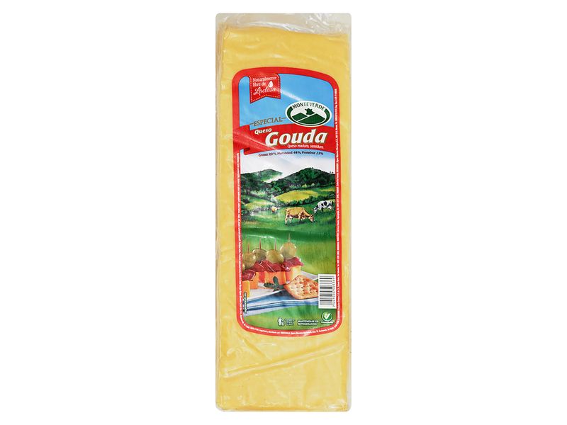 Queso-Gouda-Monteverde-Block-460Gr-1-68992