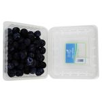 Arandanos-Azules-Clamshell-170G-4-50056