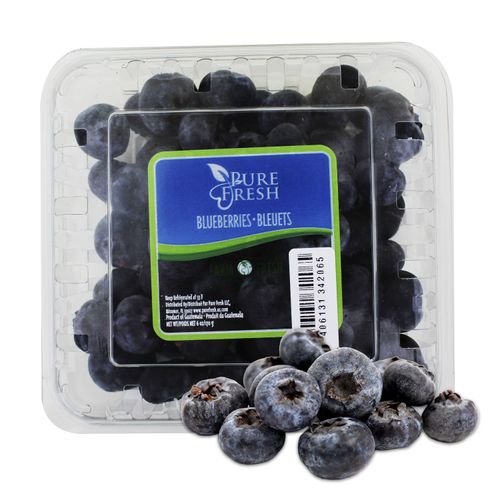 Arandanos Azules Clamshell 170G