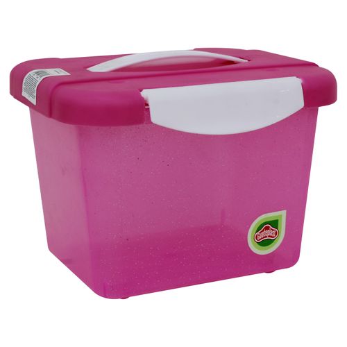 Caja Organizate 4 Lt C Glitter