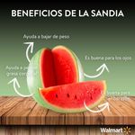 Sandia-en-Red-2-unidades-Precio-indicado-por-paquete-3-49478