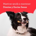 Snack-DreamBone-Para-Perro-Palitos-2-Uds-6-51105