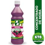 Concentrado-BYB-De-Mora-678ml-1-13928