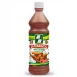 Concentrado-B-B-Tamarindo-870g-2-13929