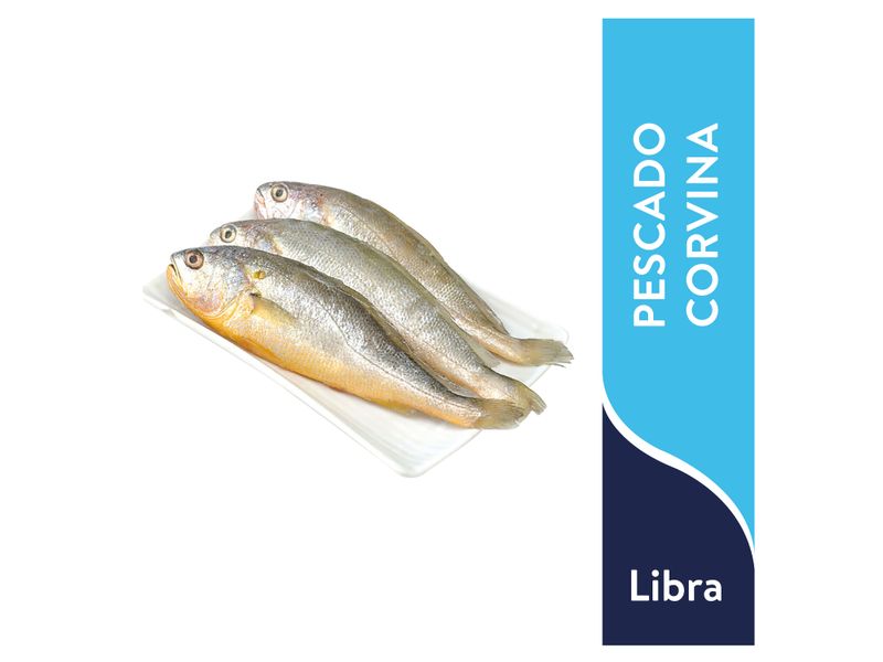 Aguacate-Hass-Extra-Delifty-Red-Libra-1-43969
