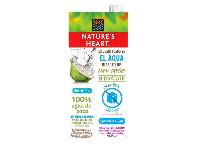 Bebida-agua-de-coco-Natures-Heart-tetrapack-1lt-2-57323