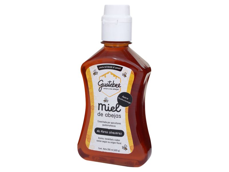 Miel-De-Abeja-Guatebee-420gr-3-56466