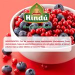 Te-Hindu-Frutos-Rojos-20-Gr-6-39956