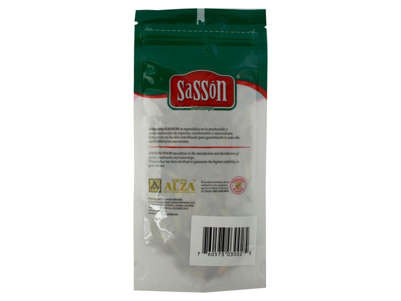 Especias-Sasson-Pepitoria-Bolsa-50gr-2-15271