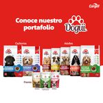 Alimento-Dogui-Perro-Adulto-Sabor-Parillada-18-Meses-En-Adelante-2kg-6-33269