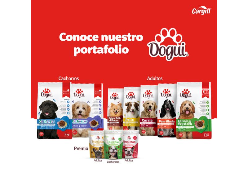 Alimento-Dogui-Perro-Adulto-Sabor-Parillada-18-Meses-En-Adelante-2kg-6-33269