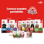 Alimento-Dogui-Perro-Adulto-Sabor-Parillada-18-Meses-En-Adelante-2kg-7-33269