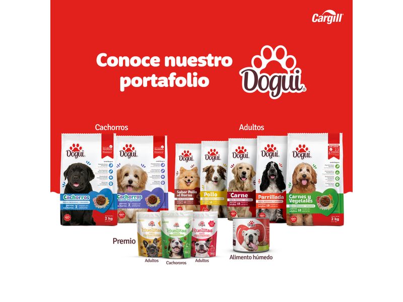 Alimento-Dogui-Perro-Adulto-Sabor-Parillada-18-Meses-En-Adelante-2kg-7-33269