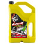 Refrigerante-Coolant-Ebullient-Antifreeze-4-1Lt-1-30734