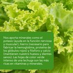 Spring-Mix-Organico-8-Onzas-3-30718