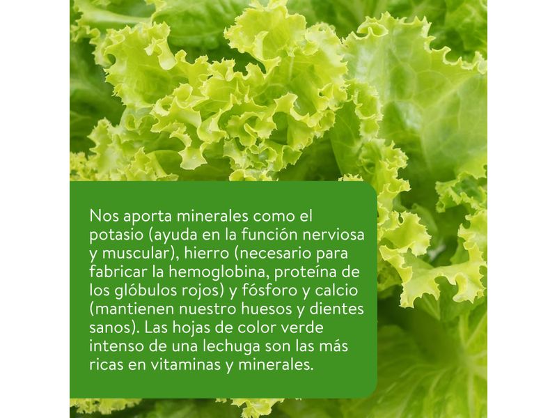 Spring-Mix-Organico-8-Onzas-3-30718