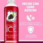 Bebida-Gasificada-Sparkling-Ice-Black-5-50950