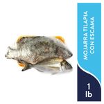 Mojarra-Tilapia-Con-Escama-Congelada-1Lb-1-44167