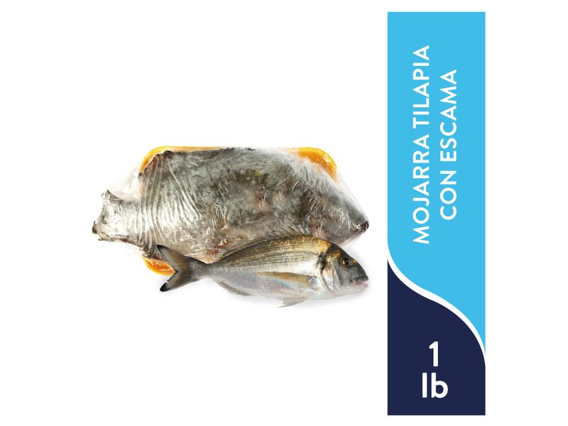 Mojarra-Tilapia-Con-Escama-Congelada-1Lb-1-44167