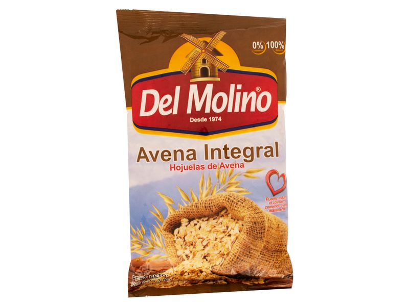 Avena-Del-Molino-Integral-350gr-1-26981