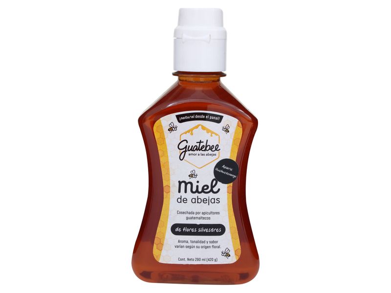 Miel-De-Abeja-Guatebee-420gr-1-56466