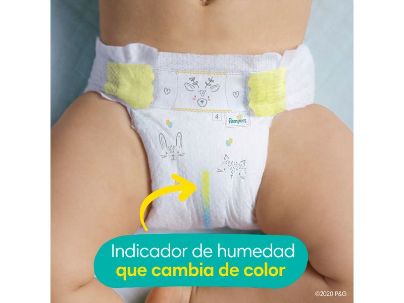 Pa-ales-Pampers-Swaddlers-Talla-5-12kg-88Uds-5-5070