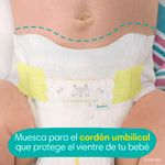 Pa-ales-Pampers-Swaddlers-Talla-0-4-5kg-31Uds-7-5110